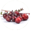 Cranberry Juice Powder